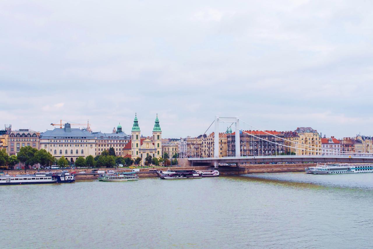 Apartment Danube View